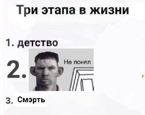 Три этапа в жизни 1. детство Не понял 3. Смэрть