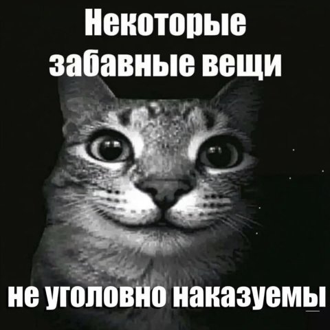 Некоторые забавные вещи не уголовно наказуемы
