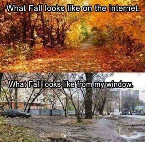 What Fall looks liketon the internet. What Fall looks у 4