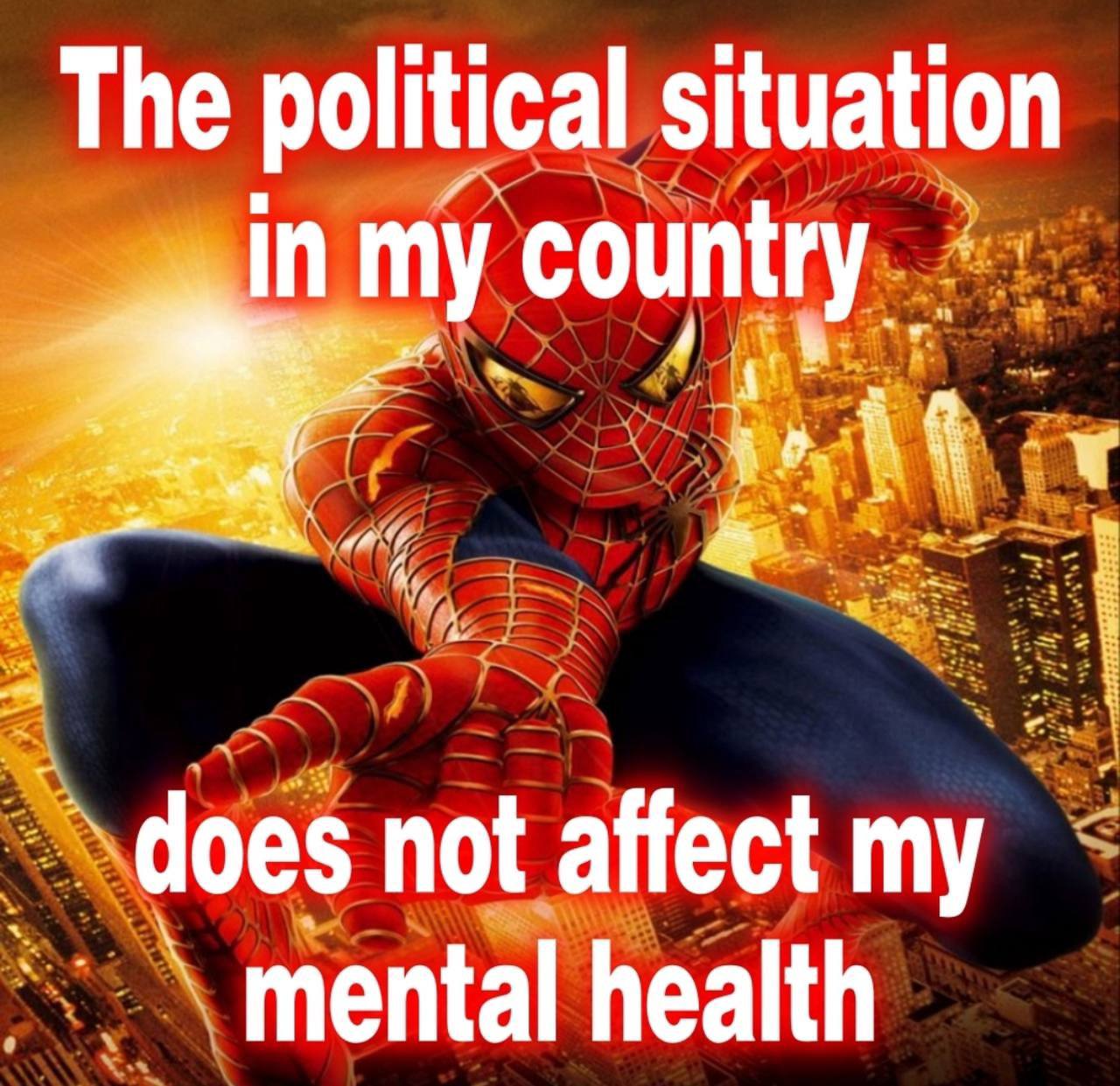 The political Situation does not affect my mental health