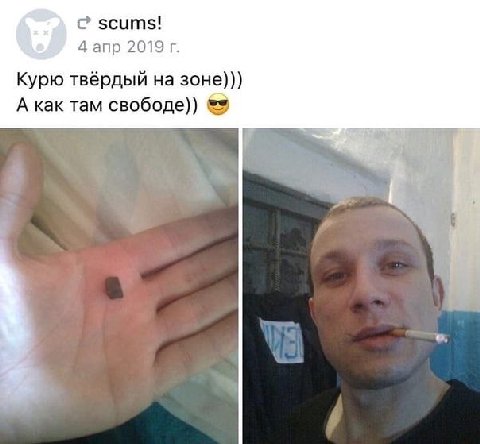 scums! 4 апр 2019 Курю твёрдый на зоне))) А как там свободе))