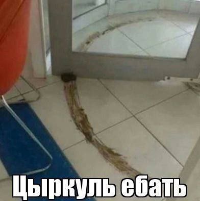 Цыркуль ебать