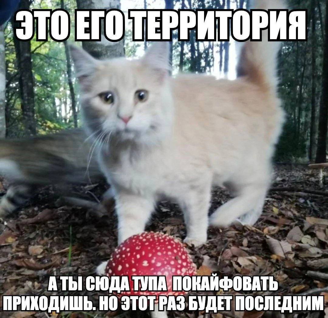 это 4 АТЫ COA ПРИХОДИШЬ. НО Этот РАЗ БУДЕТ ПОСЛЕДНИМ