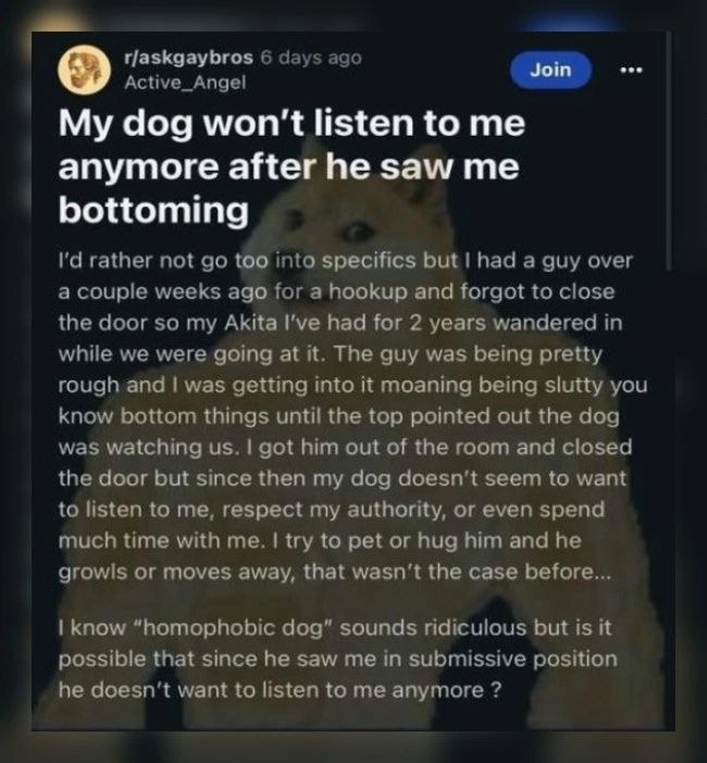 6 days ago Active_Angel Join My dog won't listen to me anymore after he saw me bottoming rather not too into specifies but had a guy over a couple weeks ago for a hookup and forgot to close the door s
