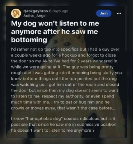 6 days ago Active_Angel Join My dog won't listen to me anymore after he saw me bottoming rather not too into specifies but had a guy over a couple weeks ago for a hookup and forgot to close the door s