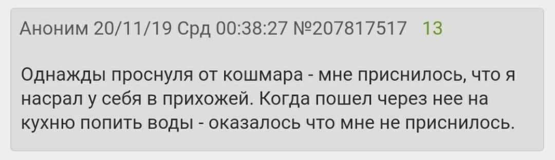 Аноним 20/11/19 Срд 00:38:27 №207817517 13 Однажды проснуля от кошмара мне приснилось, что я насрал у себя в прихожей. Когда пошел через нее на кухню попить воды оказалось что мне не приснилось.