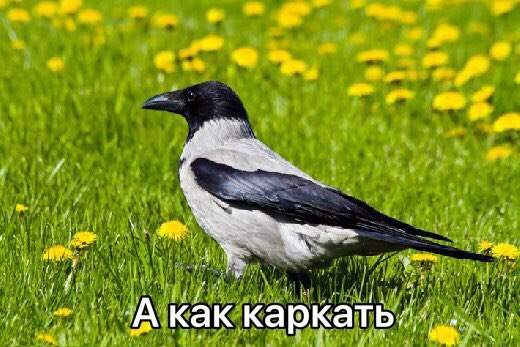 a 7 a у как