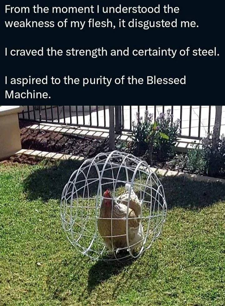 From the moment understood the weakness of my flesh, it disgusted me craved the strength and certainty of steel aspired to the purity of the Blessed Machine У 4 Я