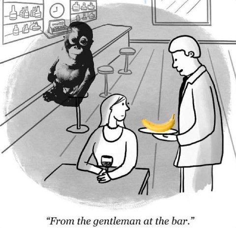 С) И, 7 “From the gentleman at the bar.”