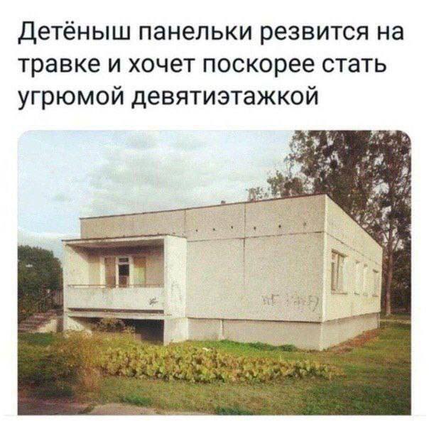 Детёныш панельки резвится на травке и хочет поскорее стать угрюмой девятиэтажкой