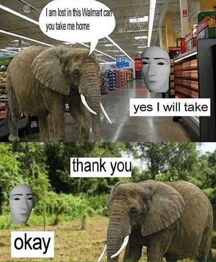lost in this Walmart take me home yes will take thank we окау i и.