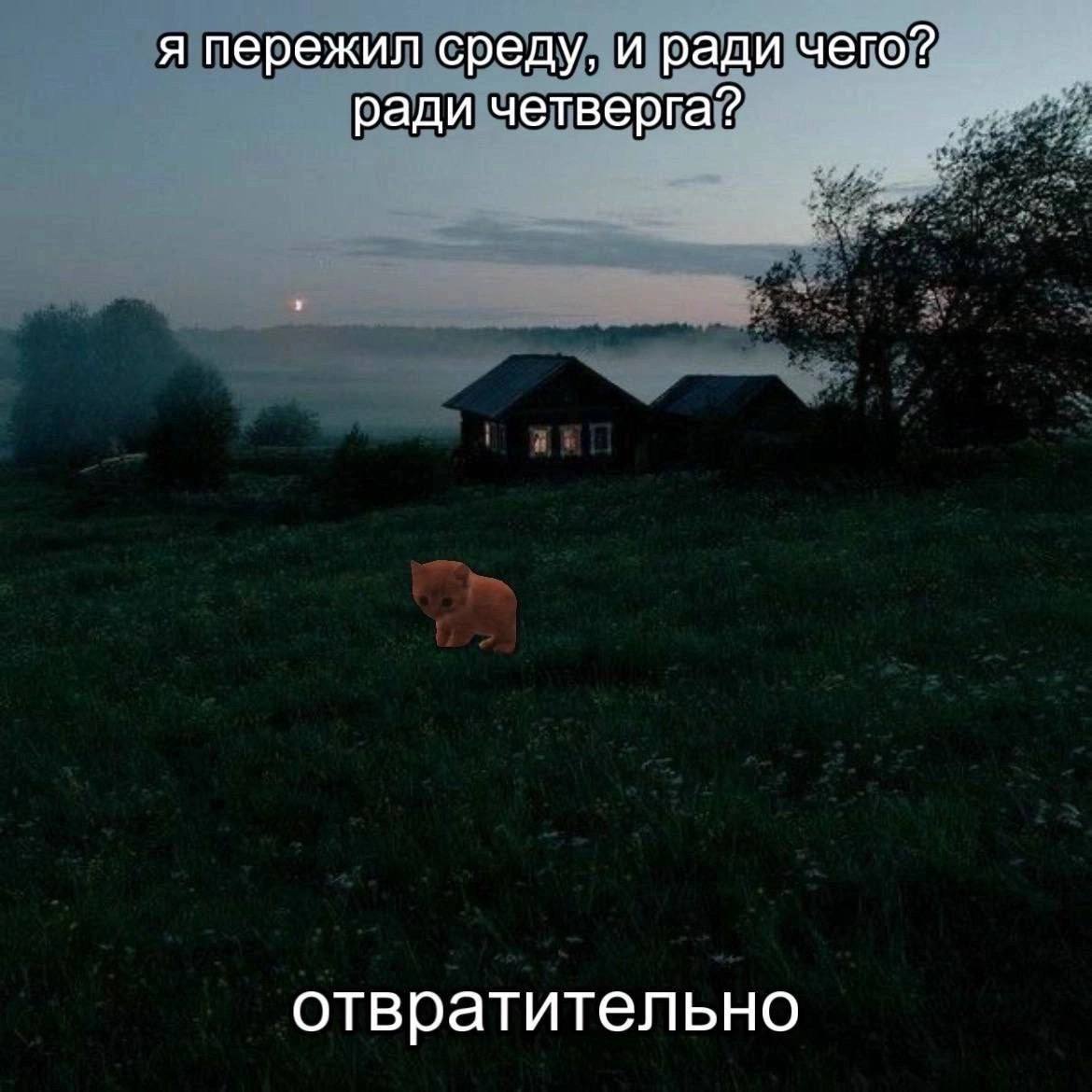 я пережил среду, и ради чего? ради четверга? отвратительно