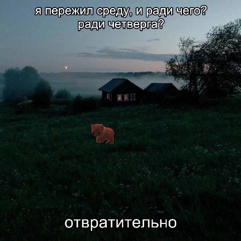 я пережил среду, и ради чего? ради четверга? отвратительно