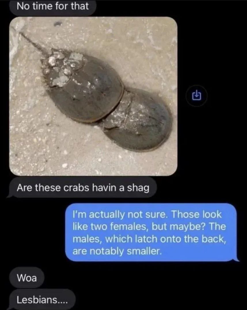 No time for that of ogg a Я 4 at 1 Bry Аге these crabs havin a shag actually not sure. Those look like two females, but maybe? The males, which latch onto the back, are notably Woa Lesbians....