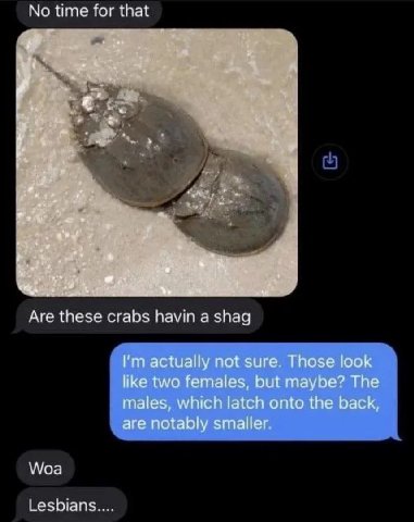 No time for that of ogg a Я 4 at 1 Bry Аге these crabs havin a shag actually not sure. Those look like two females, but maybe? The males, which latch onto the back, are notably Woa Lesbians....