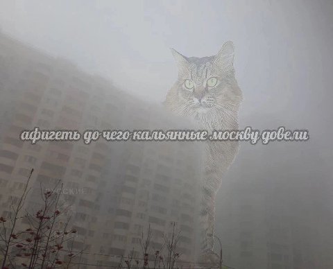 афигеть кальянные.