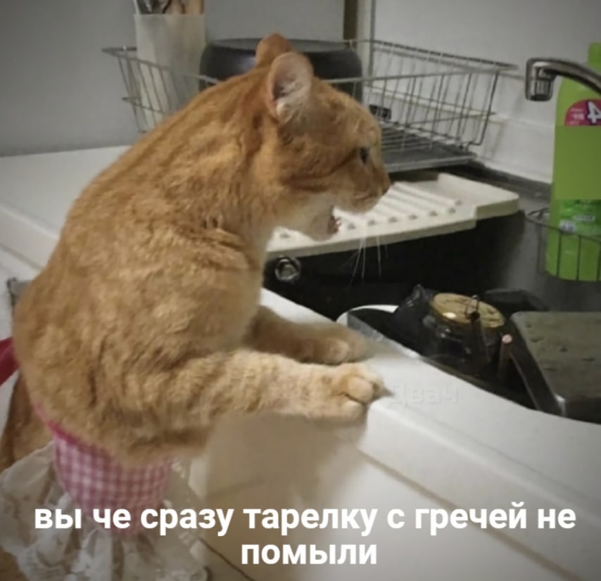 вы че сразу тарелку с гречей не ПОМЫЛИ