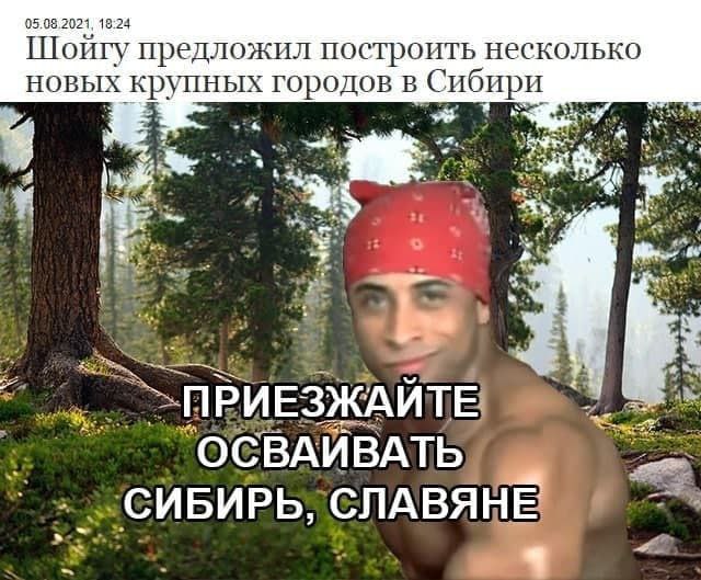 Шойту предложил построить несколько новых крупных городов в Сибири ОСВАИВАТЬ СИБИРЬ, СЛАВЯНЕ