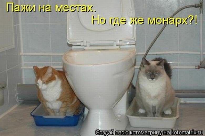 Пажи на местах. Но гдефке монарх?!