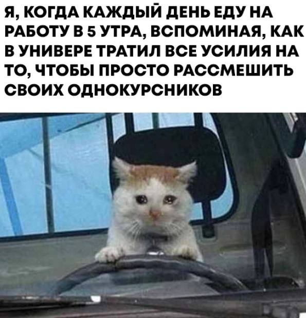 Я, КОГДА КАЖДЫЙ ДЕНЬЕДУ НА РАБОТУВ 5 УТРА, ВСПОМИНАЯ, КАК В УНИВЕРЕ ТРАТИЛ ВСЕ УСИЛИЯ НА ТО, ЧТОБЫ ПРОСТО РАССМЕШИТЬ СВОИХ ОДНОКУРСНИКОВ