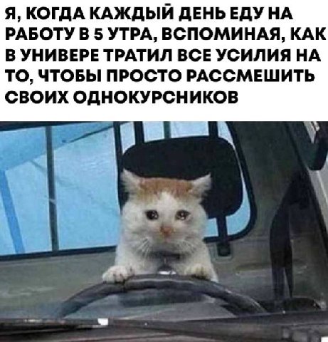 Я, КОГДА КАЖДЫЙ ДЕНЬЕДУ НА РАБОТУВ 5 УТРА, ВСПОМИНАЯ, КАК В УНИВЕРЕ ТРАТИЛ ВСЕ УСИЛИЯ НА ТО, ЧТОБЫ ПРОСТО РАССМЕШИТЬ СВОИХ ОДНОКУРСНИКОВ