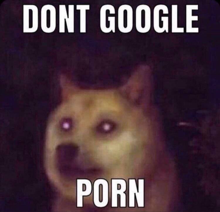 DONT GOOGLE PORN
