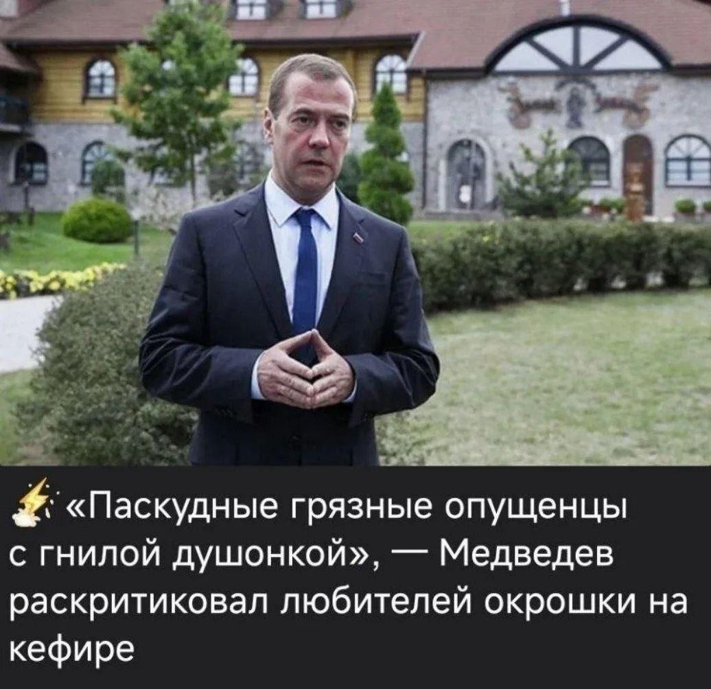 «Паскудные грязные опущенцы с гнилой душонкой», Медведев раскритиковал любителей окрошки на кефире