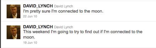 DAVID_LYNCH pretty sure connected to the moon. DAVID_LYNCH Lynch This weekend going to try to find out if connected to the moon.