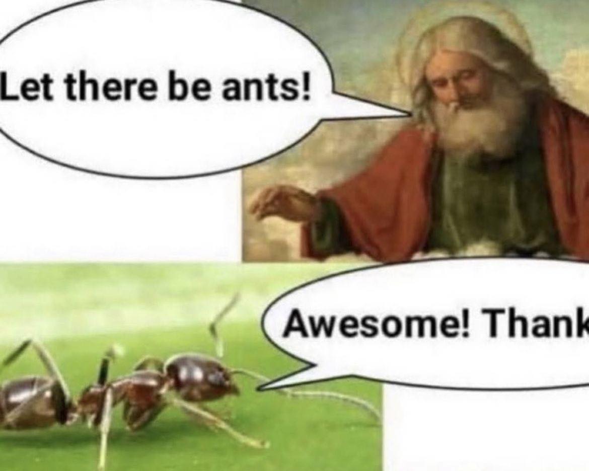 Let there be ants! и Awesome! Thank