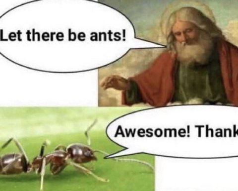 Let there be ants! и Awesome! Thank