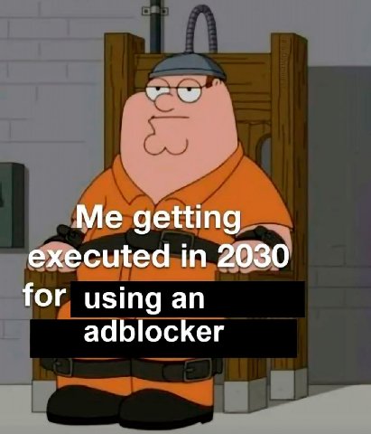 Me getting executed in 2030 for using an adblocker