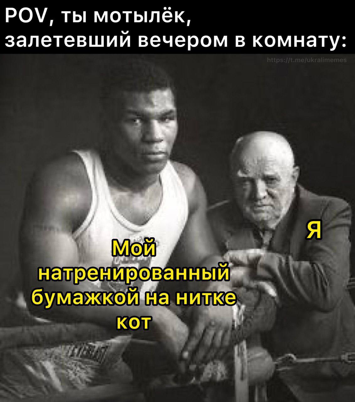 POV, ты мотылёк, залетевший вечером в комнату On натренй бумажкойвйна нитке. КОТ