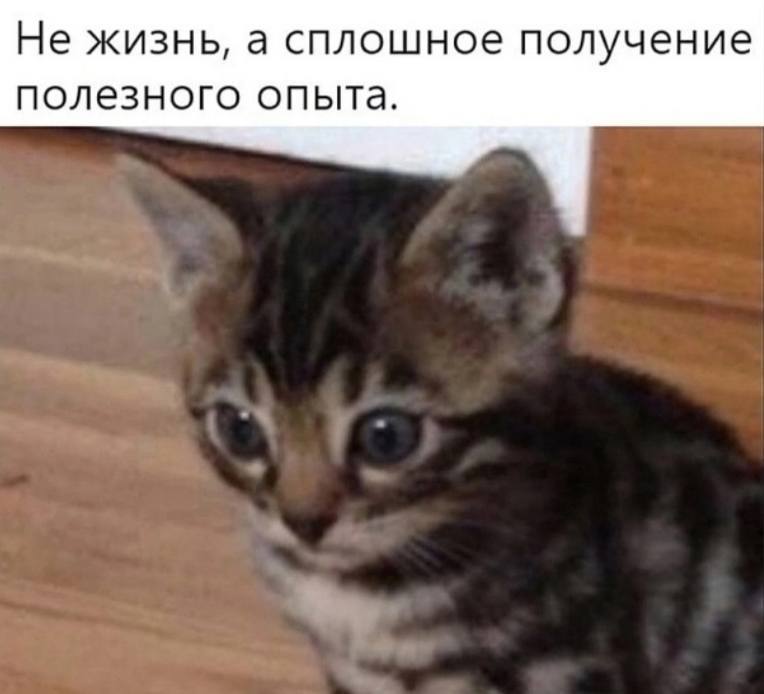 Не жизнь, а сплошное получение полезного опыта.