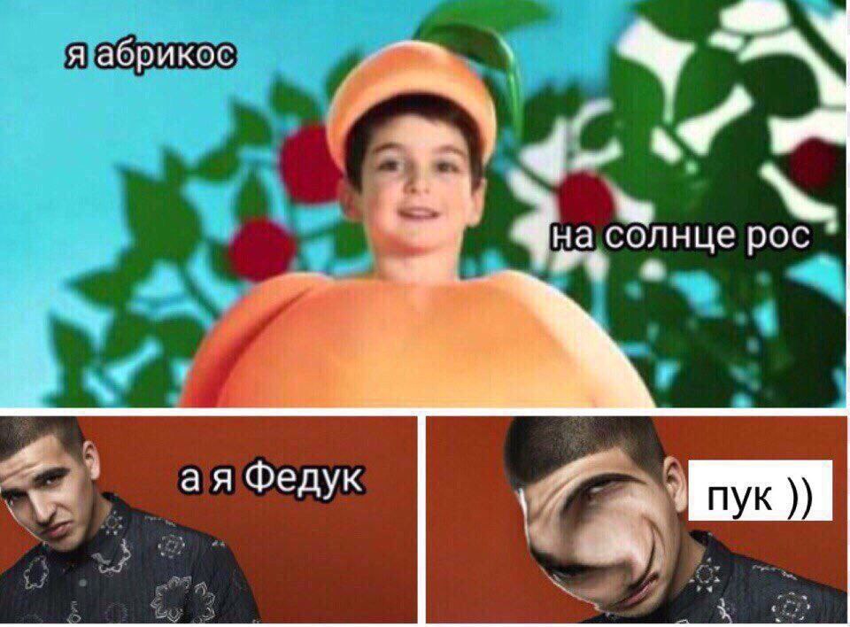 я абрикос на солнце рос Федук