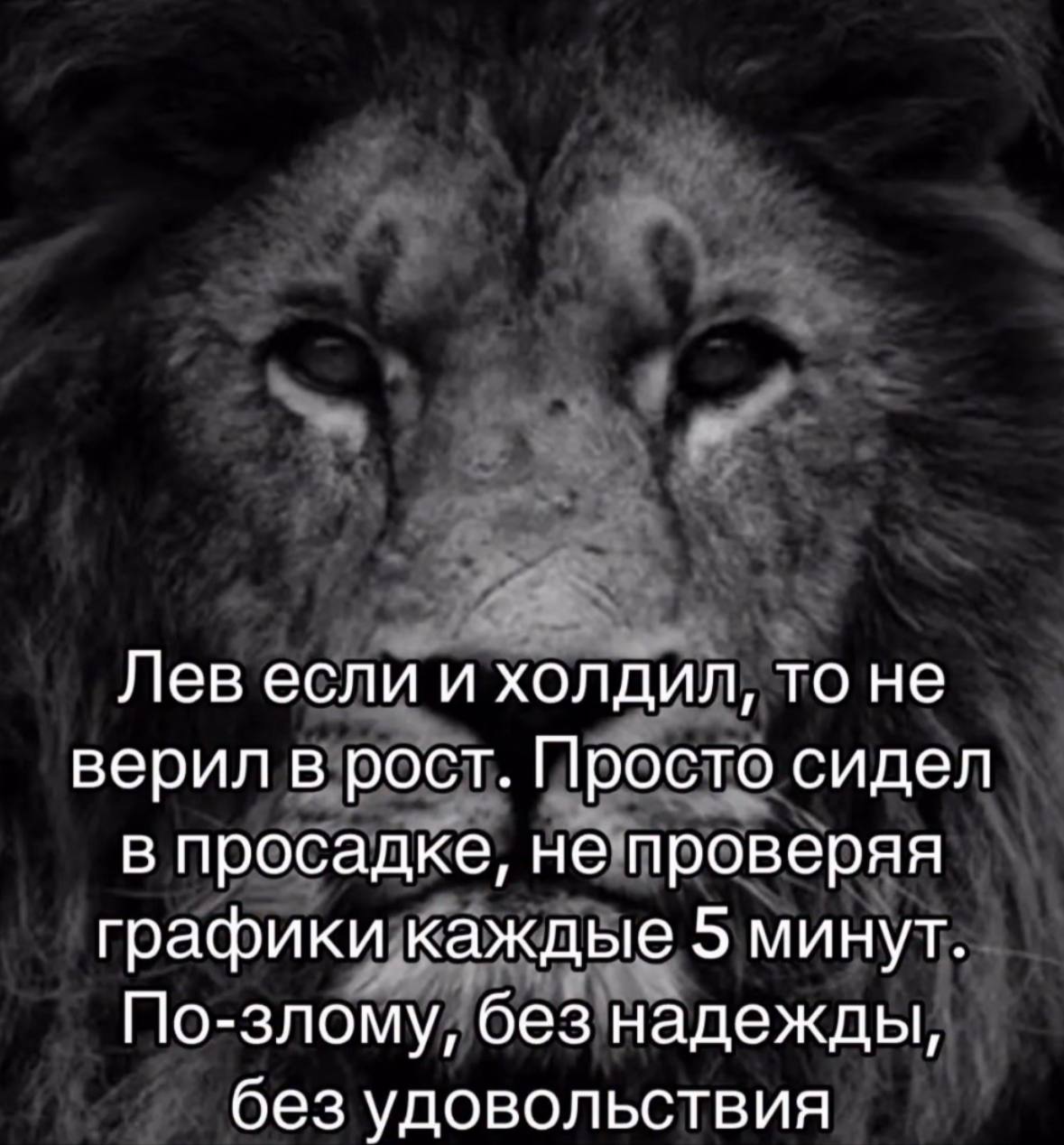 Лев если и холдил, то не верил в рост. Просто сидел в просадке, не проверяя графики каждые 5 минут. По-злому, без надежды, без удовольствия
