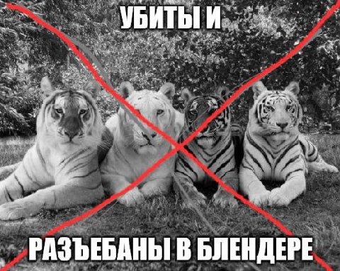 4 a” УБИТЫ И... 4 у у A he РАЗЪЕБАНЫ В БЛЕНДЕРЕ