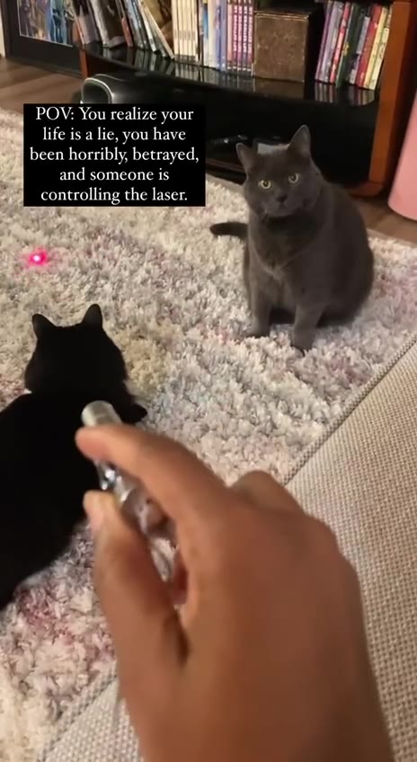 been horribly, betrayed, ^^ controlling the laser. - Say life isalie,youhave =.