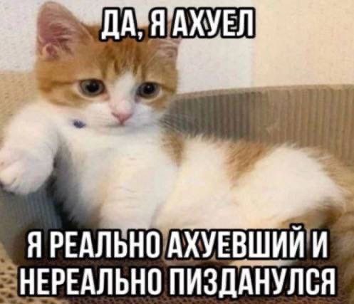 Я РЕАЛЬНО 'АХУЕВШИЙИ ПИЗДАНУЛСЯ