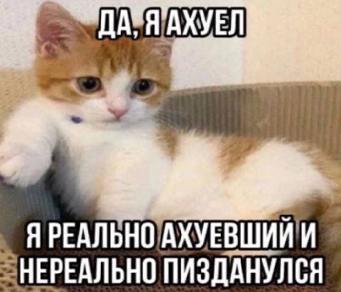 Я РЕАЛЬНО 'АХУЕВШИЙИ ПИЗДАНУЛСЯ
