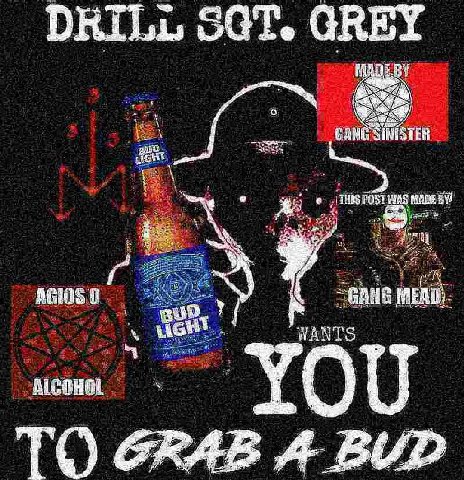 SGT. GREY STER GANG WANT YOU TO