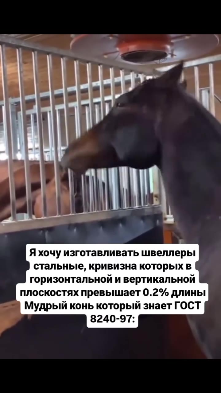 Я хочу изготавливать швеллеры стальные, кривизна которых в горизонтальной и вертикальной плоскостях превышает 0.2% длины Мудрый конь который знает ГОСТ