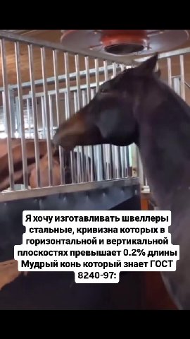 Я хочу изготавливать швеллеры стальные, кривизна которых в горизонтальной и вертикальной плоскостях превышает 0.2% длины Мудрый конь который знает ГОСТ