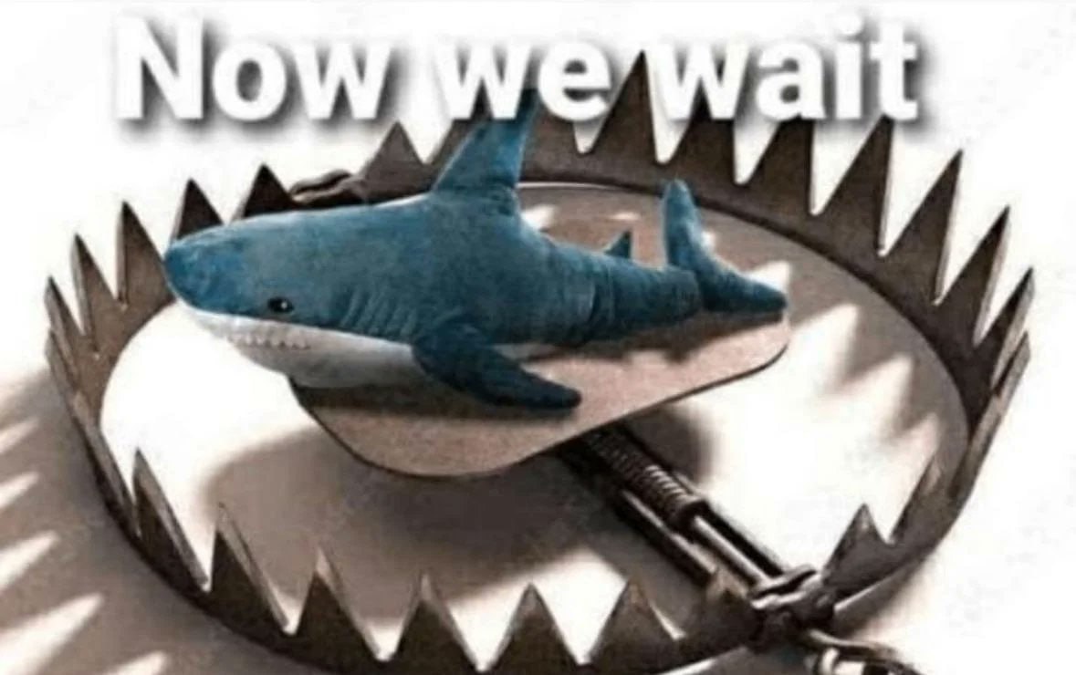 NOW Can