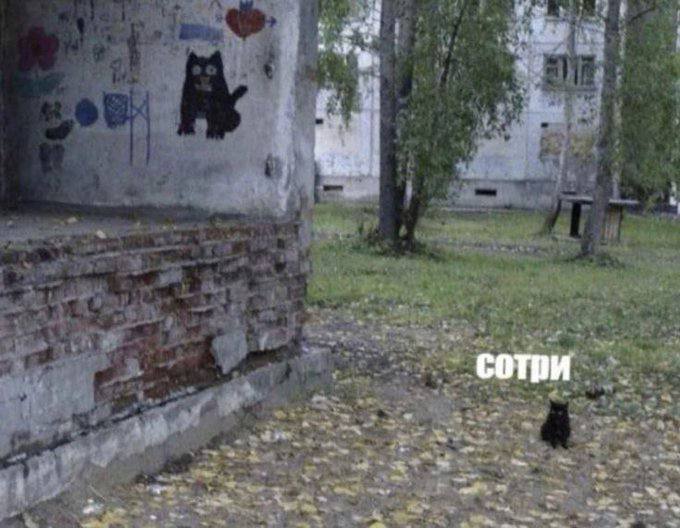 we сотри