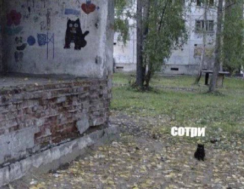 we сотри