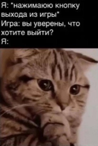 Я: *нажимаюю кнопку выхода из Игра: вы уверены, что хотите выйти? Я: