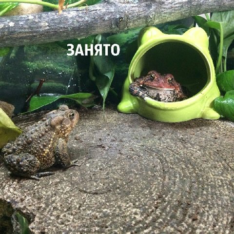 ЗАНЯТО a a