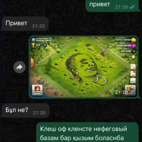привет Привет Latin wings, 36 a 2120 Бул не? Клеш кленсте нефеговый базам бар кызым боласнба