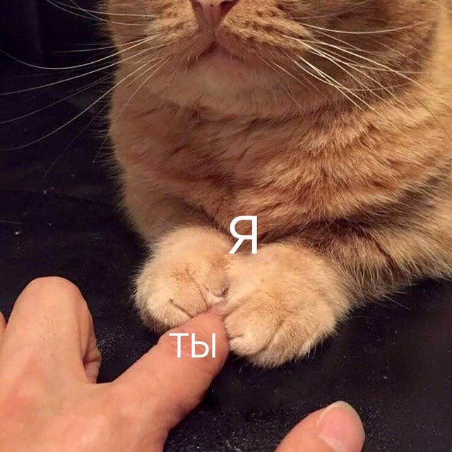 ТЫ