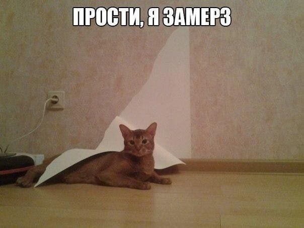 ПРОСТИ, Я ЗАМЕРЗ